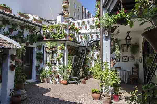 Córdoba 175 - barrio san Basilio - Patios del Alcazar Viejo - calle Martin de Roa 7.jpg